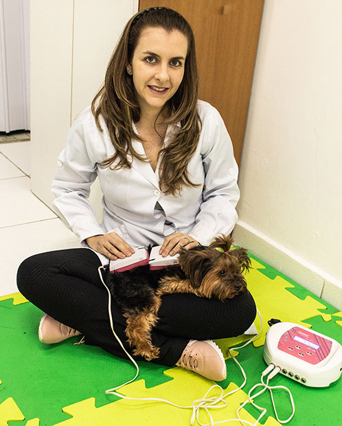 cachorro em uma sessão de eletroterapia